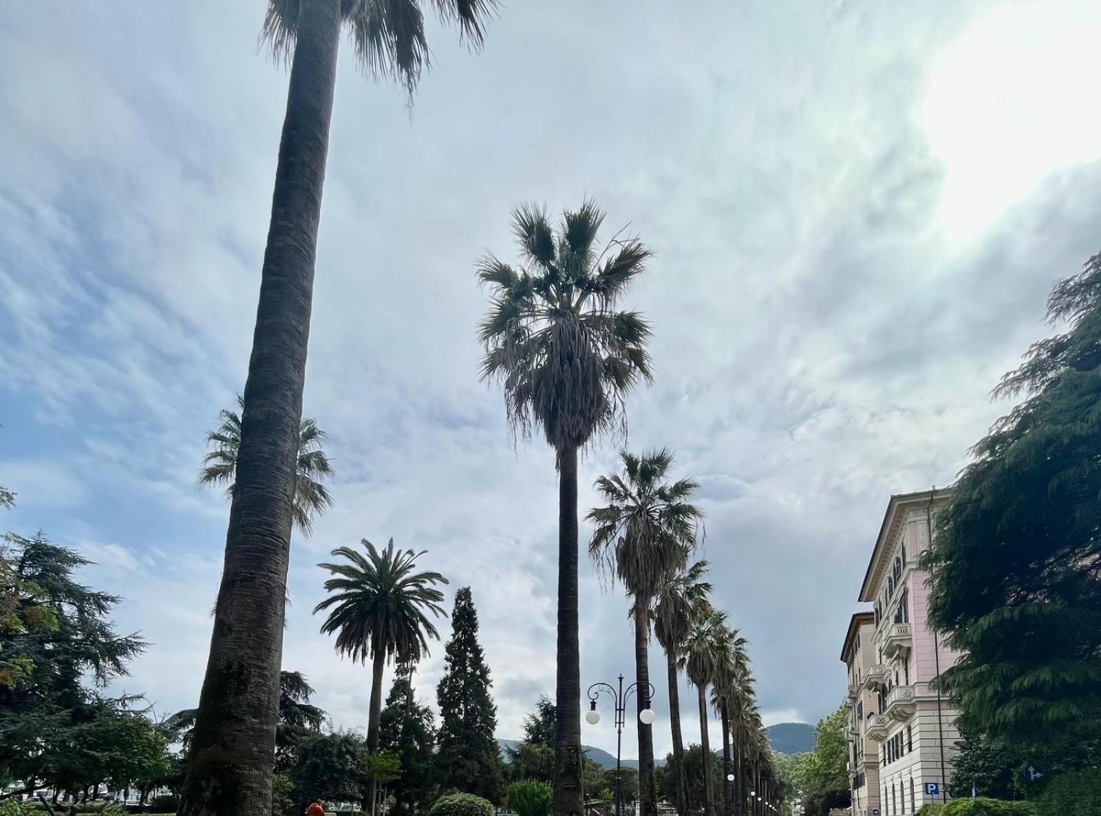 Breathe Liguria - Lucy 1 Bedroom And 1 Apartment In A Newly Renovated Nineteenth-Century Building In The Historic Center Near The Sea La Spezia Zewnętrze zdjęcie